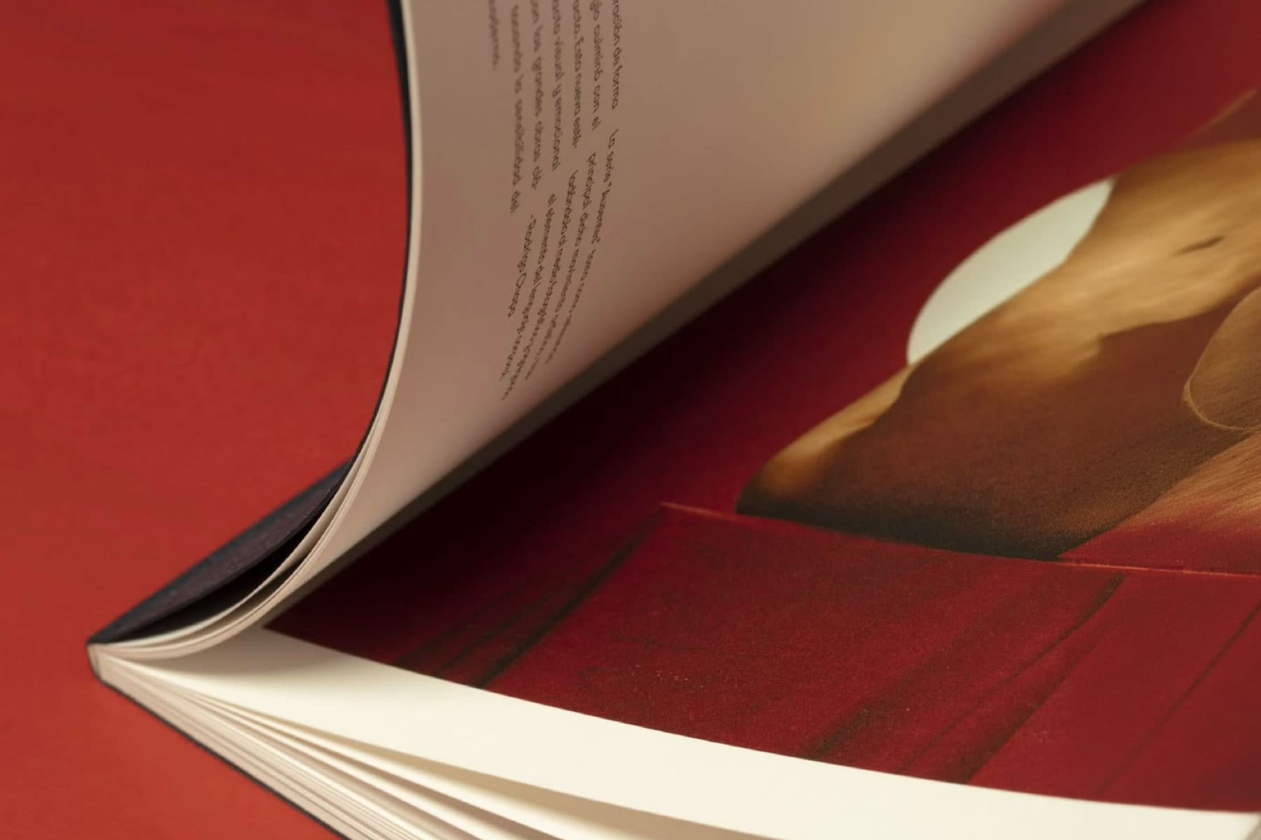 magazine zoom sur fond rouge